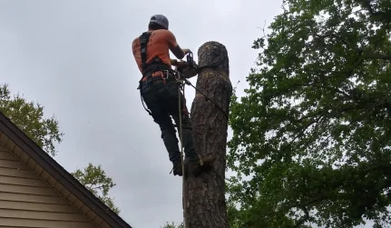 Content, Cards Slider 1