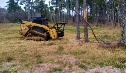 Content, Cards Slider 5