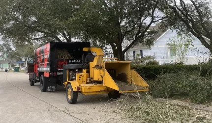 Content, Cards Slider 6