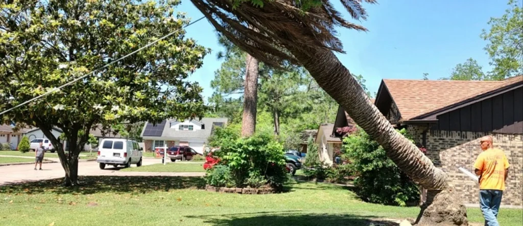 Service Page Image 1